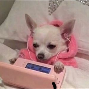 Meet your Posher, Ashton